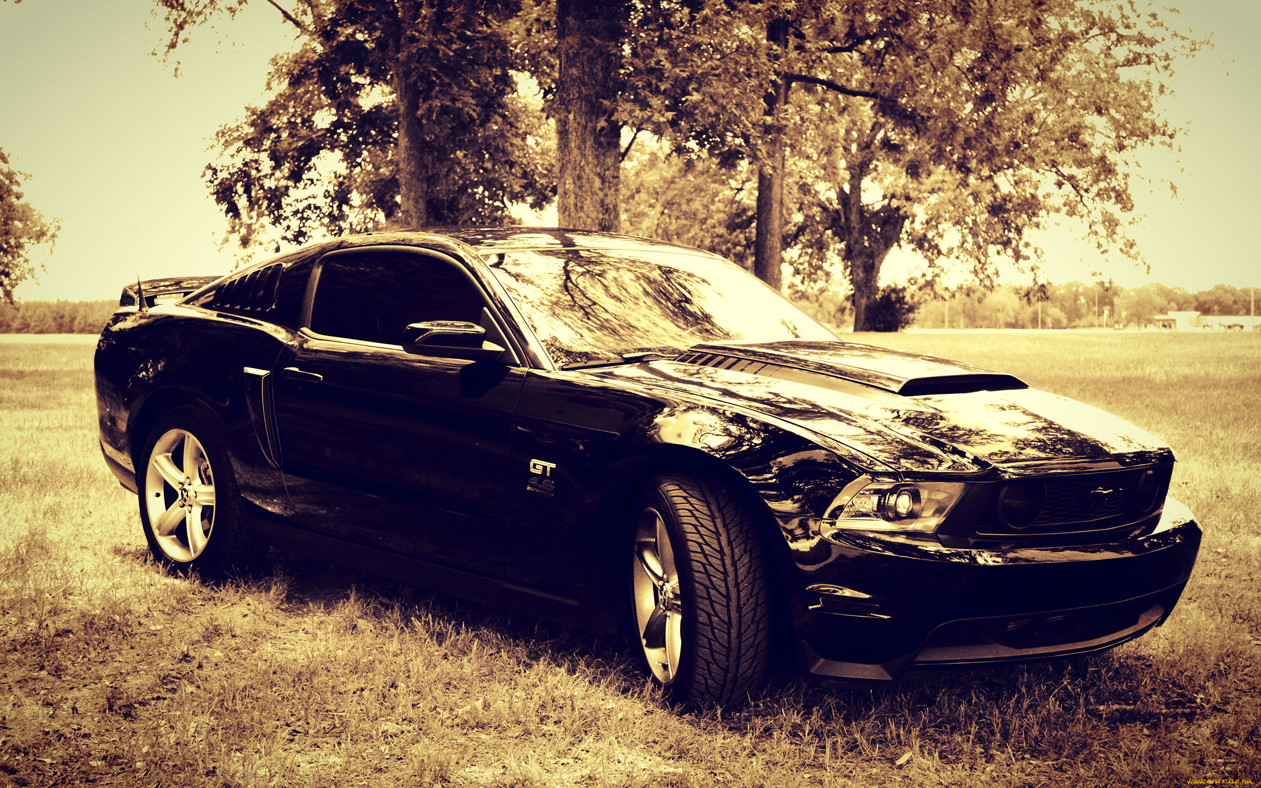 , mustang, gt, 
